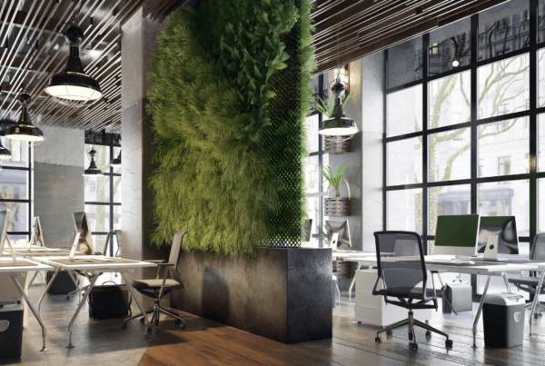 Modern office with Mac desktops and greenery